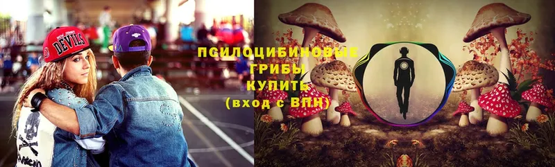 ссылка на мегу зеркало  где найти   Новокубанск  Псилоцибиновые грибы MAGIC MUSHROOMS 